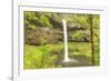 Trail of Ten Falls, Silver Falls State Park, near Silverton, Oregon-Stuart Westmorland-Framed Photographic Print