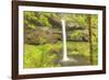 Trail of Ten Falls, Silver Falls State Park, near Silverton, Oregon-Stuart Westmorland-Framed Photographic Print