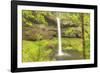 Trail of Ten Falls, Silver Falls State Park, near Silverton, Oregon-Stuart Westmorland-Framed Photographic Print