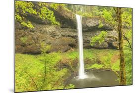 Trail of Ten Falls, Silver Falls State Park, near Silverton, Oregon-Stuart Westmorland-Mounted Photographic Print