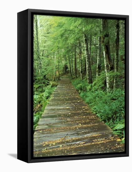 Trail of the Shadows, Mt. Rainier National Park, Washington, USA-Jamie & Judy Wild-Framed Stretched Canvas