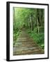 Trail of the Shadows, Mt. Rainier National Park, Washington, USA-Jamie & Judy Wild-Framed Premium Photographic Print