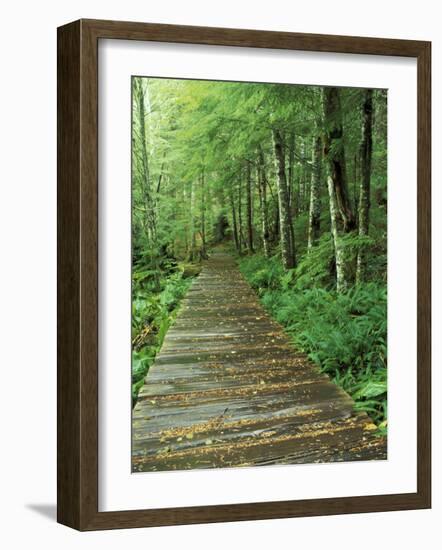 Trail of the Shadows, Mt. Rainier National Park, Washington, USA-Jamie & Judy Wild-Framed Photographic Print