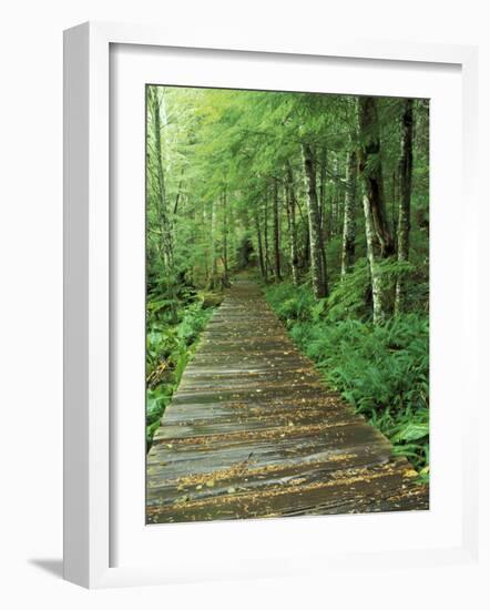 Trail of the Shadows, Mt. Rainier National Park, Washington, USA-Jamie & Judy Wild-Framed Photographic Print