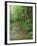 Trail of the Shadows, Mt. Rainier National Park, Washington, USA-Jamie & Judy Wild-Framed Photographic Print