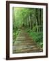 Trail of the Shadows, Mt. Rainier National Park, Washington, USA-Jamie & Judy Wild-Framed Photographic Print