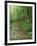 Trail of the Shadows, Mt. Rainier National Park, Washington, USA-Jamie & Judy Wild-Framed Photographic Print