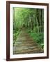 Trail of the Shadows, Mt. Rainier National Park, Washington, USA-Jamie & Judy Wild-Framed Photographic Print