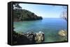 Trail on the Coast in the Manuel Antonio National Park.-Stefano Amantini-Framed Stretched Canvas