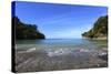 Trail on the Coast in the Manuel Antonio National Park.-Stefano Amantini-Stretched Canvas