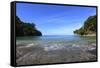 Trail on the Coast in the Manuel Antonio National Park.-Stefano Amantini-Framed Stretched Canvas