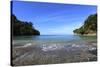 Trail on the Coast in the Manuel Antonio National Park.-Stefano Amantini-Stretched Canvas