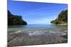 Trail on the Coast in the Manuel Antonio National Park.-Stefano Amantini-Mounted Photographic Print