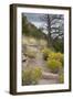 Trail Out of Frijoles Canyon, Bandelier National Monument, New Mexico-null-Framed Photographic Print