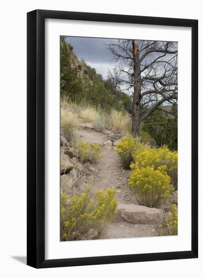 Trail Out of Frijoles Canyon, Bandelier National Monument, New Mexico-null-Framed Photographic Print