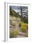 Trail Out of Frijoles Canyon, Bandelier National Monument, New Mexico-null-Framed Photographic Print