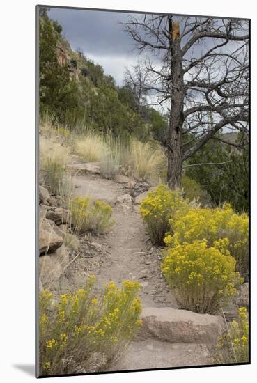 Trail Out of Frijoles Canyon, Bandelier National Monument, New Mexico-null-Mounted Photographic Print