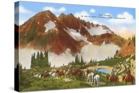 Trail Riders, Olympic National Park, Washington-null-Stretched Canvas