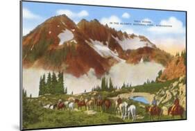 Trail Riders, Olympic National Park, Washington-null-Mounted Art Print