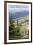 Trail Ridge Road - Rocky Mountain National Park-Lantern Press-Framed Art Print