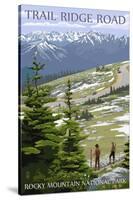 Trail Ridge Road - Rocky Mountain National Park-Lantern Press-Stretched Canvas