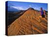 Trail Run Snow Canyon Near St. George, Utah, USA-Chuck Haney-Stretched Canvas