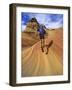 Trail Runner on Sandstone, Coyote Buttes, Utah, USA-Chuck Haney-Framed Photographic Print