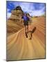 Trail Runner on Sandstone, Coyote Buttes, Utah, USA-Chuck Haney-Mounted Photographic Print