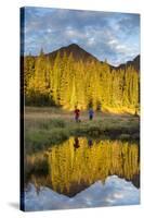 Trail Runners In The Eagles Nest Wilderness In Colorado-Liam Doran-Stretched Canvas