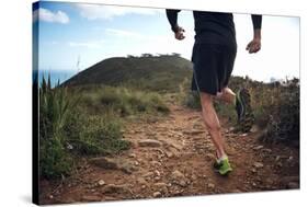 Trail Running Athlete Exercising for Fitness and Health Outdoors on Mountain Pathway-warrengoldswain-Stretched Canvas