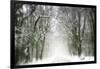 Trail Snow-Viviane Fedieu Daniel-Framed Photographic Print