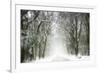 Trail Snow-Viviane Fedieu Daniel-Framed Photographic Print