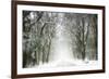 Trail Snow-Viviane Fedieu Daniel-Framed Photographic Print