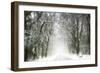 Trail Snow-Viviane Fedieu Daniel-Framed Photographic Print