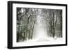 Trail Snow-Viviane Fedieu Daniel-Framed Photographic Print