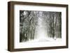 Trail Snow-Viviane Fedieu Daniel-Framed Photographic Print