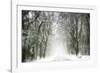 Trail Snow-Viviane Fedieu Daniel-Framed Photographic Print