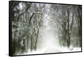 Trail Snow-Viviane Fedieu Daniel-Framed Stretched Canvas