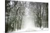 Trail Snow-Viviane Fedieu Daniel-Stretched Canvas