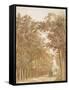 Trail through a forest, c.1638-42-Cornelis Vroom-Framed Stretched Canvas