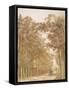 Trail through a forest, c.1638-42-Cornelis Vroom-Framed Stretched Canvas