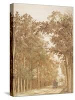 Trail through a forest, c.1638-42-Cornelis Vroom-Stretched Canvas