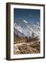 Trail through Khumbu Valley with Mt. Everest in background.-Lee Klopfer-Framed Photographic Print