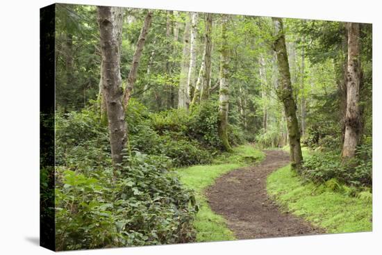 Trail Through Woods, Stuart Island, San Juan Islands, Washington, USA-Jaynes Gallery-Stretched Canvas