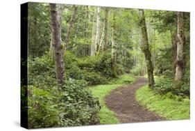 Trail Through Woods, Stuart Island, San Juan Islands, Washington, USA-Jaynes Gallery-Stretched Canvas