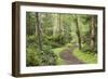 Trail Through Woods, Stuart Island, San Juan Islands, Washington, USA-Jaynes Gallery-Framed Photographic Print