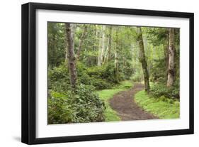 Trail Through Woods, Stuart Island, San Juan Islands, Washington, USA-Jaynes Gallery-Framed Photographic Print