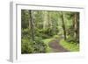 Trail Through Woods, Stuart Island, San Juan Islands, Washington, USA-Jaynes Gallery-Framed Photographic Print