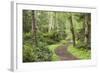 Trail Through Woods, Stuart Island, San Juan Islands, Washington, USA-Jaynes Gallery-Framed Photographic Print