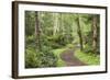 Trail Through Woods, Stuart Island, San Juan Islands, Washington, USA-Jaynes Gallery-Framed Photographic Print